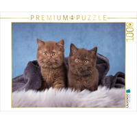 Puzzle CALVENDO Une illustration tirée du calendrier « Kleine Stubenstiger » | 1