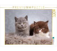 Puzzle CALVENDO Une illustration tirée du calendrier « Kleine Stubenstiger » | 1