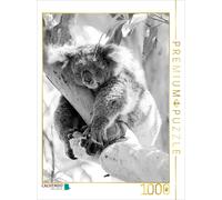 CALVENDO Puzzle Koala Un Ours Qui n'est Pas Un Ours 1000 Pieces 48 x 64 cm from Silvia Drafz