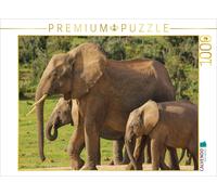 CALVENDO Puzzle La Faune impressionnante de l'Afrique du Sud 1000 Pieces 64 x 48 cm from TakeTheShot