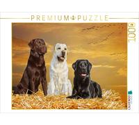 Puzzle CALVENDO Une illustration tirée du calendrier « Labrador Retriever - Un a