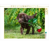 CALVENDO Puzzle Labrador Retriever - Un cœur sur 4 Pattes 1000 Pieces 64 x 48 cm from Sista-Tierfoto