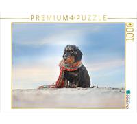 CALVENDO Puzzle Le Teckel 1000 Pieces 64 x 48 cm from Anja Foto Grafia Fotografie