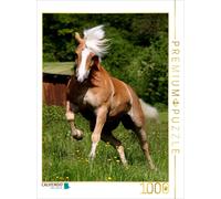 CALVENDO Puzzle Les Chevaux... Voler sans Ailes 1000 Pieces 48 x 64 cm from K. Grüttner