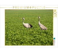 CALVENDO Puzzle Les grues en Route vers Le sud 1000 Pieces 64 x 48 cm from N. Wilhelm
