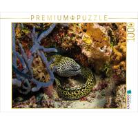 CALVENDO Puzzle Maldives - Le Monde sous-Marin coloré 1000 Pieces 64 x 48 cm from Martin Kraus