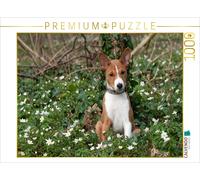 CALVENDO Puzzle Le Temps du Chiot Basenji Merveilleux 1000 Pieces 64 x 48 cm from Angelika Joswig