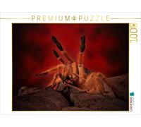 Puzzle CALVENDO Une illustration tirée du calendrier « Les mygales mystiques » |