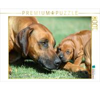 Puzzle CALVENDO Une illustration tirée du calendrier « Les petits chiens-lions »