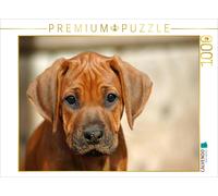 Puzzle CALVENDO Une illustration tirée du calendrier « Les petits chiens-lions »