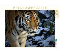 Puzzle · Une Illustration tirée du Calendrier « Les Tigres, Les Chasseurs | silencieux de la jungle · 1000 pièces · Format assemblé 64 × 48 cm · CALVENDO Puzzle