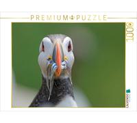 CALVENDO Puzzle Macareux Moine 1000 Pieces 64 x 48 cm from Gerald Wolf