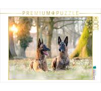 Puzzle CALVENDO Une illustration tirée du calendrier « Malinois - Des boules d'é
