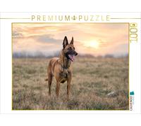 Puzzle CALVENDO Une illustration tirée du calendrier « Malinois - Des boules d'é