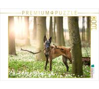 Puzzle CALVENDO Une illustration tirée du calendrier « Malinois - Des boules d'é