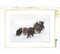 CALVENDO Puzzle des Moments d'émotion : Le Sanglier. / Version CH 1000 Pieces 64 x 48 cm from Ingo Gerlach