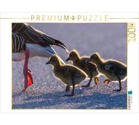CALVENDO Puzzle des Moments d'émotion : L'oie cendrée. 1000 Pieces 64 x 48 cm from Ingo Gerlach