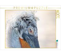 CALVENDO Puzzle Oiseaux charismatiques 1000 Pieces 64 x 48 cm from Falko Duesterhoeft