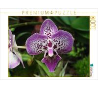 Puzzle CALVENDO Une illustration tirée du calendrier « Orchidées aux couleurs ch
