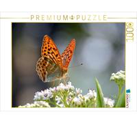 Puzzle CALVENDO Une illustration tirée du calendrier « Papillons en Europe » | 1