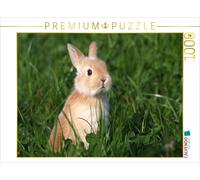 CALVENDO Puzzle Enfants Animaux Petits et Mignons 1000 Pieces 64 x 48 cm from Berit Seiboth