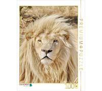 CALVENDO Puzzle Portraits DE Cat Lions Blancs d'Afrique 1000 Pieces 48 x 64 cm from Thula