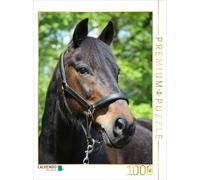 Puzzle · Une Illustration tirée du Calendrier « Portraits de Chevaux de | rêve · 1000 pièces · Format assemblé 64 × 48 cm · CALVENDO Puzzle