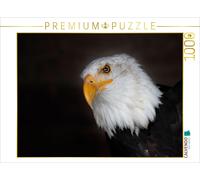 Puzzle CALVENDO Une illustration tirée du calendrier « Rapaces et chouettes » |