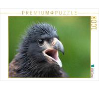 Puzzle CALVENDO Une illustration tirée du calendrier « Rapaces et chouettes » |