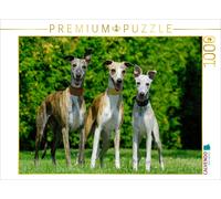 Puzzle CALVENDO Une illustration tirée du calendrier « Rapide comme le vent » -