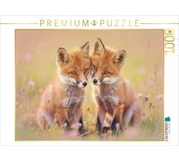 Puzzle CALVENDO Une illustration tirée du calendrier « Renards aux couleurs past