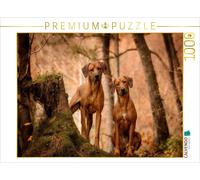 CALVENDO Puzzle EIN Motiv aus dem Kalender Rhodesian Ridgeback - Herzen Auf Vier Pfoten 1000 Teile Puzzle quer 1000 Pieces 64 x 48 cm from Sabrina Mischnik
