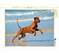 Puzzle CALVENDO Une illustration tirée du calendrier « Rhodesian Ridgebacks en a