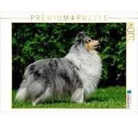 Puzzle CALVENDO Une illustration tirée du calendrier Sheltie 2017 | 1000 pièces,