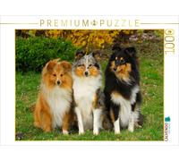 Puzzle CALVENDO Une illustration tirée du calendrier Sheltie 2017 | 1000 pièces,