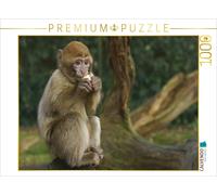 Puzzle CALVENDO Une illustration tirée du calendrier « Tout simplement rigolo »