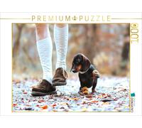 CALVENDO Puzzle Teckel typique 2021 1000 Pieces 64 x 48 cm from Anja Foto Grafia Fotografie