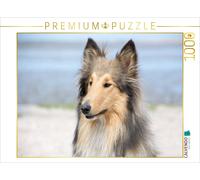 Puzzle CALVENDO Une illustration tirée du calendrier : un colley qui vous accomp