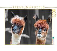 CALVENDO Puzzle An image from the "Alpaca Faces" calendar | 1000 pieces, finishe
