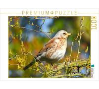 CALVENDO Puzzle Calendrier des Oiseaux 1000 Pieces 64 x 48 cm from Fofino