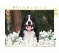 CALVENDO Puzzle WAUZEBAER Le Bouvier Bernois 1000 Pieces 64 x 48 cm from Sonja Brenner