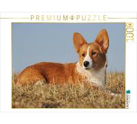 Puzzle CALVENDO Une illustration tirée du calendrier « Welsh Corgi - Un lutin à