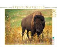 Puzzle CALVENDO Une illustration tirée du calendrier « Wisent & Bison » | 1000 p