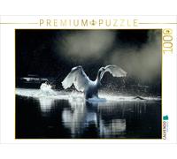 CALVENDO Puzzle Un Calendrier de Photos Swans. élégance Blanche 1000 Pieces 64 x 48 cm from Philippe Henry