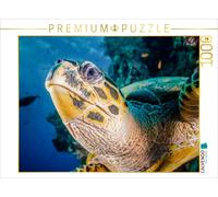 Puzzle CALVENDO Une image tirée du calendrier « Aperçus du monde des tortues mar