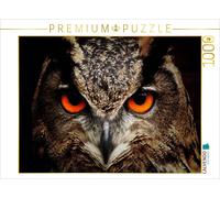 CALVENDO Puzzle EIN Bild aus dem Kalender Eulen • Augen der Nacht 1000 Teile Puzzle quer 1000 Pieces 64 x 48 cm from Elisabeth Stanzer