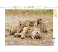 CALVENDO Puzzle Moments d'émotion : Les lionceaux - si Mignons. 1000 Pieces 64 x 48 cm from Ingo Gerlach