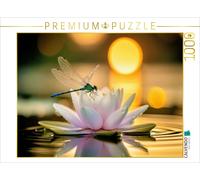 Puzzle · Une Libellule posée sur Un nénuphar | La vie parmi les nénuphars · 1000 pièces · Format assemblé 64 × 48 cm · CALVENDO Puzzle