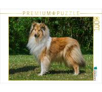Puzzle CALVENDO Une magnifique chienne de race collie | 1000 pièces, format asse