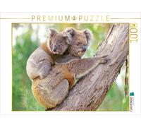 CALVENDO Puzzle Une mère Koala grimpe avec Son Petit sur Son Dos 1000 Pieces 64 x 48 cm from Verlag